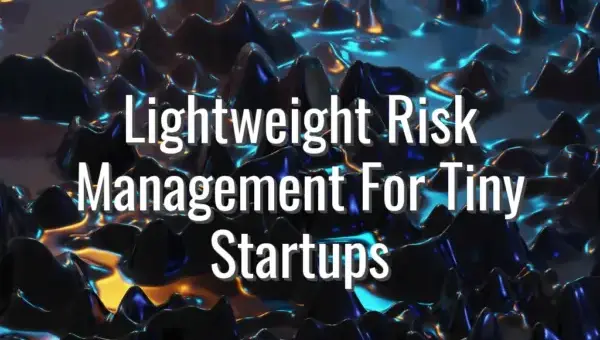 Lightweight Risk Management For Tiny Startups - risk management for startups